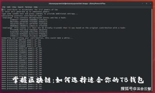 掌握区块链:如何选择适合你的TB钱包