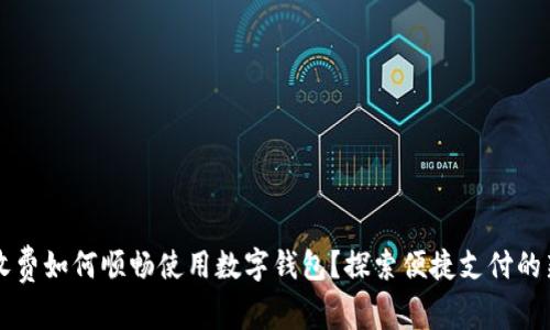 高速收费如何顺畅使用数字钱包?探索便捷支付的新选择