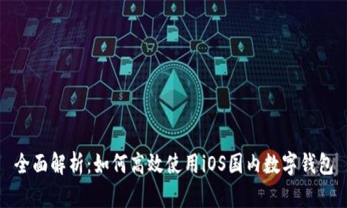 全面解析:如何高效使用iOS国内数字钱包
