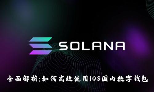 全面解析:如何高效使用iOS国内数字钱包