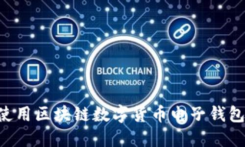 如何高效使用区块链数字货币电子钱包：全面指南