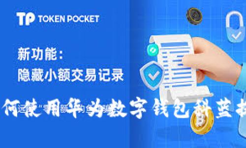 全面解析：如何使用华为数字钱包科蓝提升支付体验