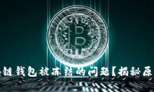 如何应对区块链钱包被冻结的问题？揭秘原因与解决方案
