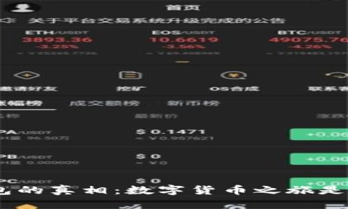 揭开OKPay钱包的真相：数字货币之旅是安全还是风险？