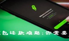 破解数字钱包还款难题：你需要知道的一切