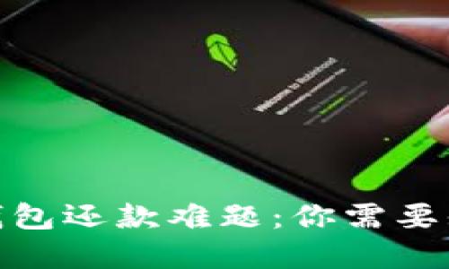 破解数字钱包还款难题：你需要知道的一切