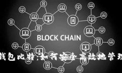 探索数字货币钱包比特：如何安全高效地管理您