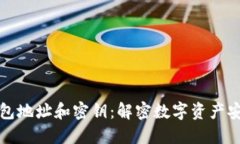 区块链钱包地址和密钥：解密数字资产安全的基