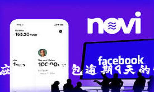 如何应对数字钱包逾期9天的情况?
