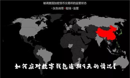 如何应对数字钱包逾期9天的情况?