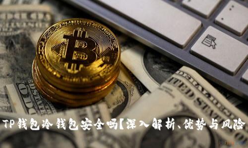 TP钱包冷钱包安全吗？深入解析、优势与风险