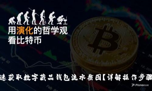如何快速获取数字藏品钱包流水截图?详解操作步骤与技巧