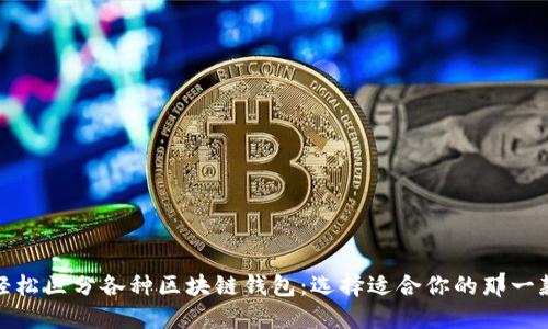轻松区分各种区块链钱包:选择适合你的那一款