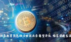 湖南数字钱包助力财税业务转型升级，畅享便捷