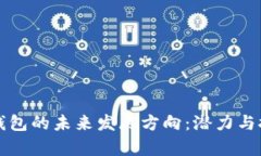 区块链钱包的未来发展方向：潜力与挑战并存