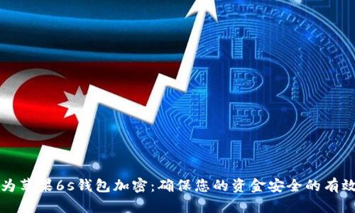 如何为苹果6s钱包加密：确保您的资金安全的有效方法