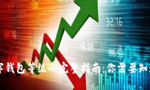 了解数字钱包等级的完整指南：你需要知道的一切