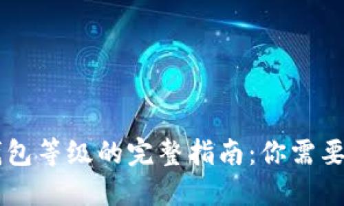 了解数字钱包等级的完整指南：你需要知道的一切