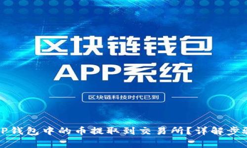 如何快速将TP钱包中的币提取到交易所？详解步骤与注意事项