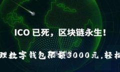如何有效管理数字钱包限额3000元，轻松消费与理