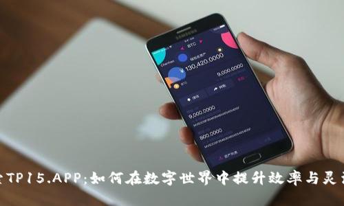 探索TP15.APP：如何在数字世界中提升效率与灵活性
