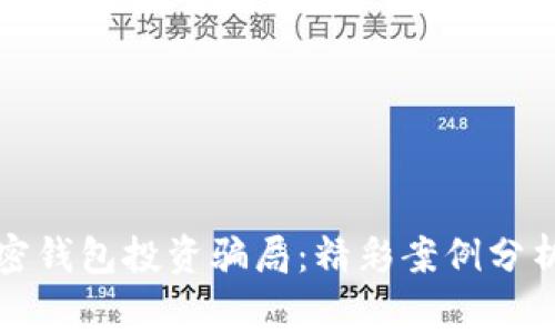 揭露加密钱包投资骗局：精彩案例分析与警示