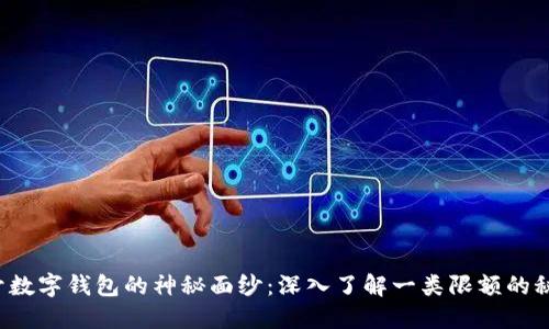 揭开数字钱包的神秘面纱：深入了解一类限额的秘密！