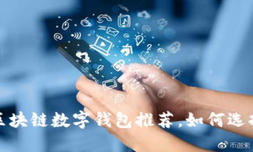 安全且可靠的区块链数字钱包推荐，如何选择适合你的钱包