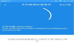 揭秘海南数字钱包洗钱案：最新动态与背后真相