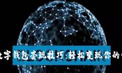 聪明的数字钱包套现技巧：轻松变现你的电子资