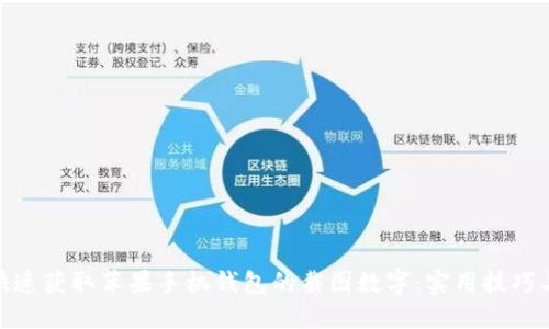 如何快速获取苹果手机钱包的截图数字：实用技巧与步骤