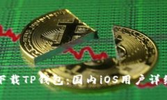 轻松下载TP钱包：国内iOS用户详细教程