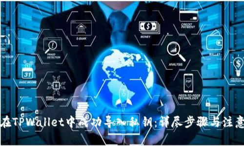 如何在TPWallet中成功导入私钥：详尽步骤与注意事项